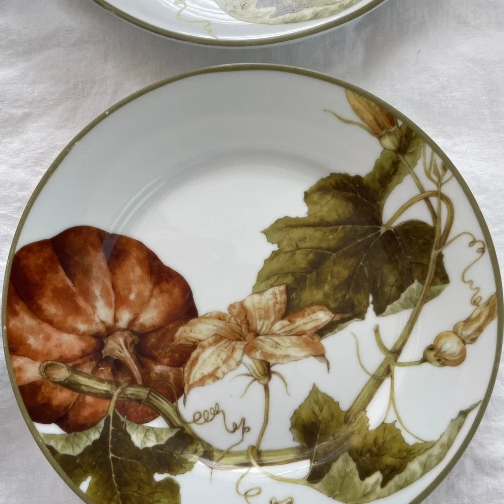 Williams Sonoma Botanical Pumpkin Salad Dessert Plates 8.5” diameter (Set of 4)